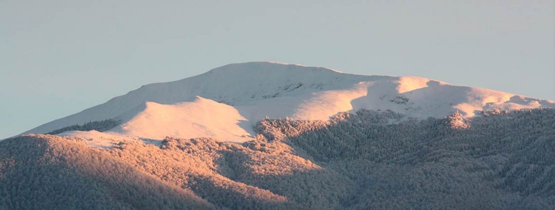 Pour le respect de vos volontés, la sérénité et la protection de vos proches...